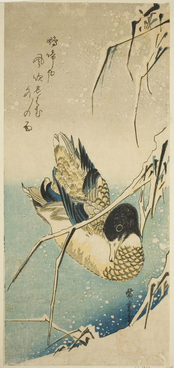Kachny ve sněhu od Utagawa Hiroshige