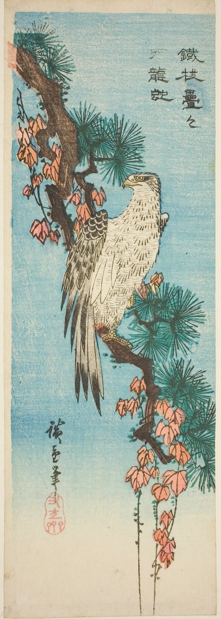 Sokol na větvi borovice porostlé břečťanem od Utagawa Hiroshige
