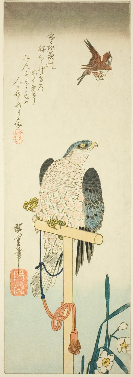 Sokol, vrabec a narcis od Utagawa Hiroshige