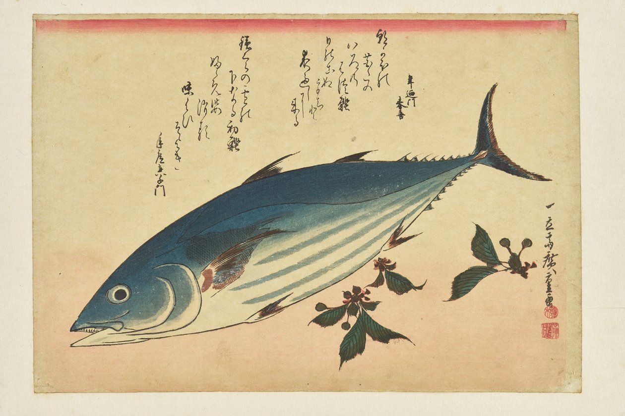 Rybičí tisk: Bonito a třešně ze série „Hejno ryb“ od Utagawa Hiroshige