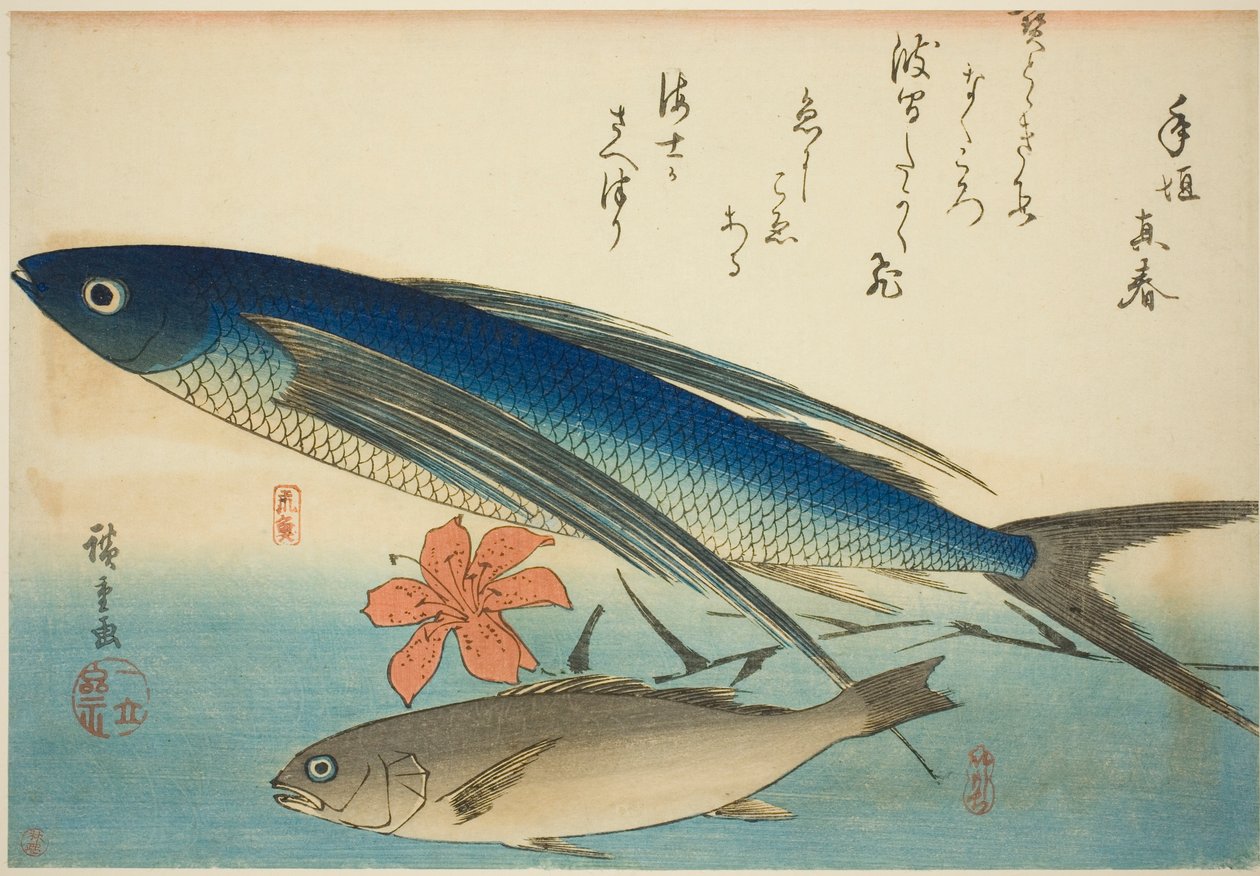 Létající ryba a Ichimochi, z nepojmenované série ryb od Utagawa Hiroshige