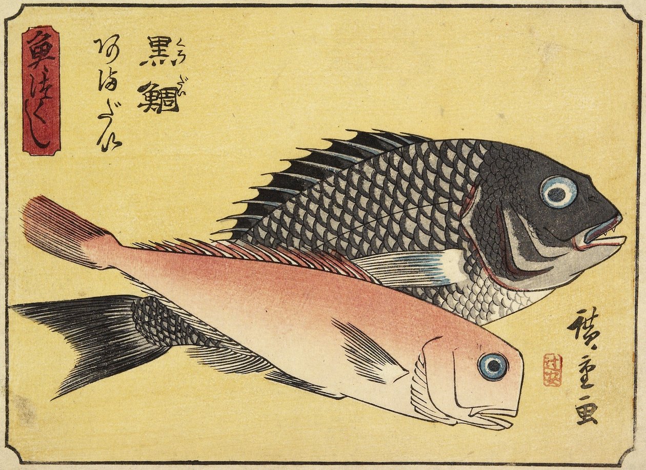 Gilthead a Tilefish, 1830-1844 od Utagawa Hiroshige