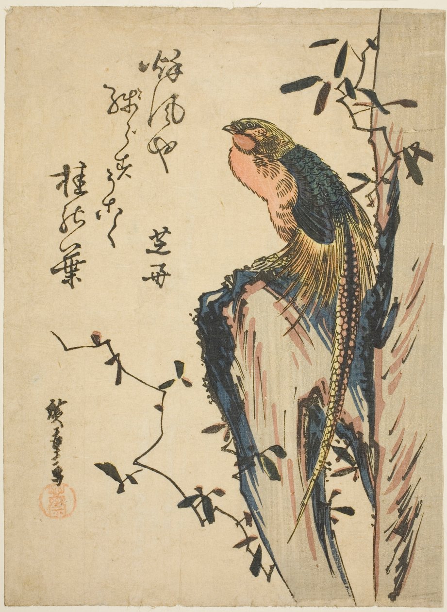 Zlatý bažant od Utagawa Hiroshige