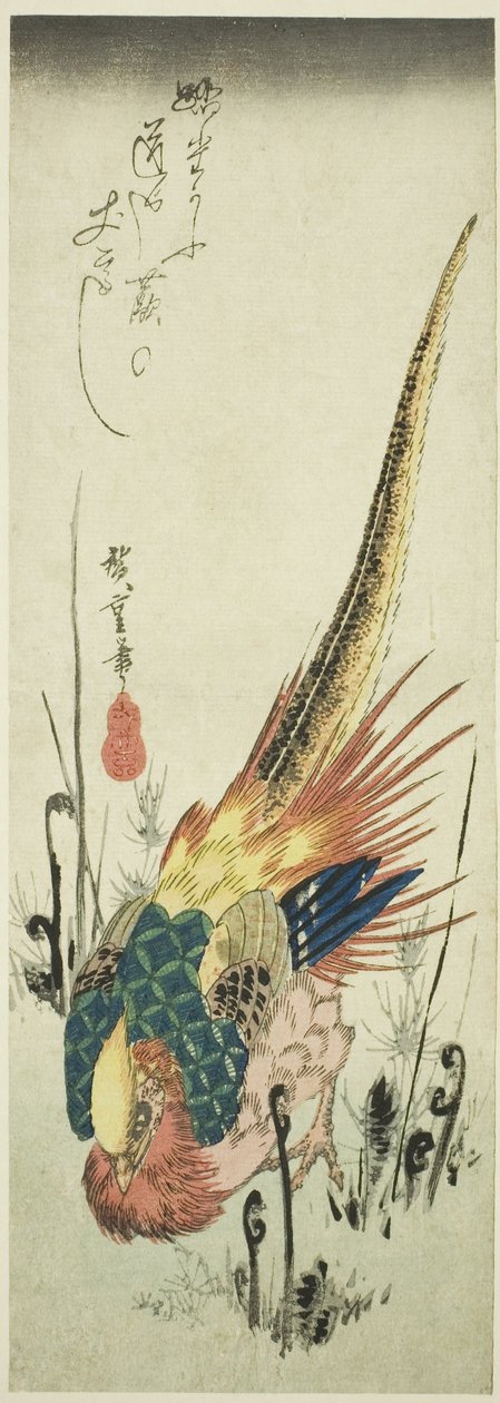 Zlatý bažant a kapradí kapradiny od Utagawa Hiroshige