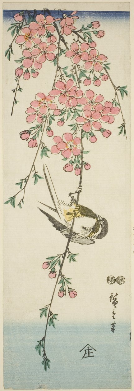 Sýkora koňadra a třešňové květy od Utagawa Hiroshige