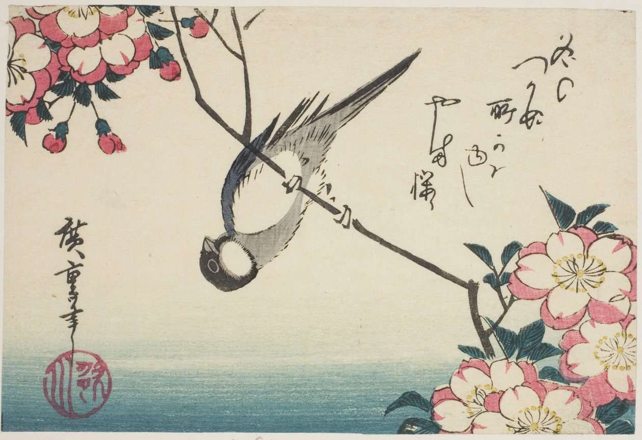 Sýkora koňadra na větvi třešňového květu od Utagawa Hiroshige