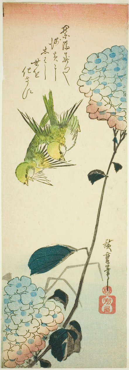 Zelení ptáci a hortenzie od Utagawa Hiroshige