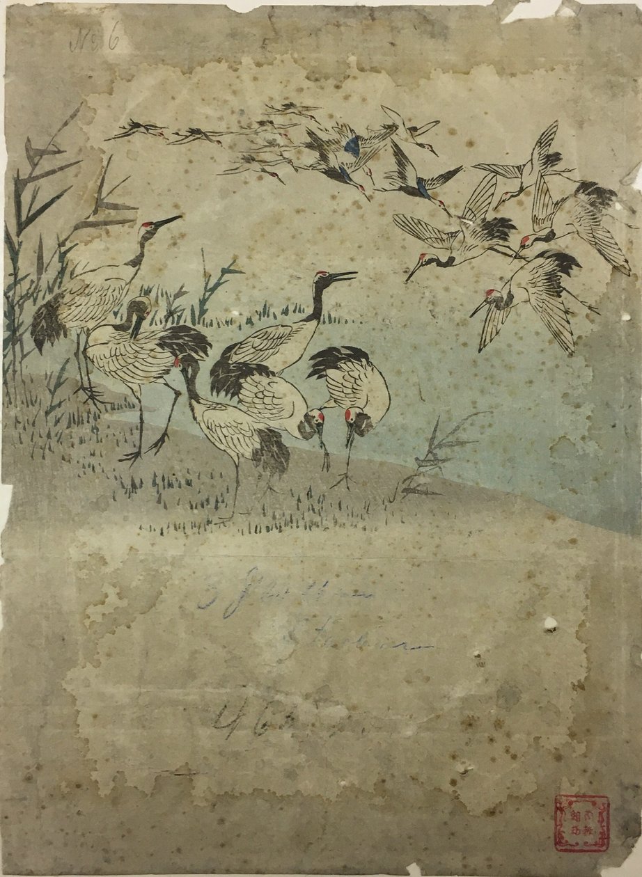 Volavky mezi travinami od Utagawa Hiroshige