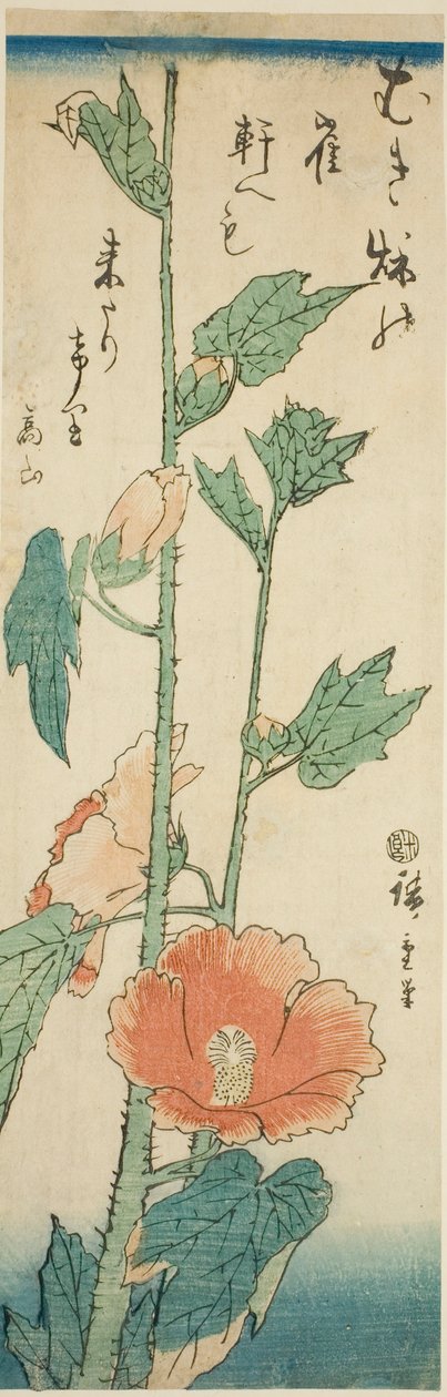 Ibišek od Utagawa Hiroshige