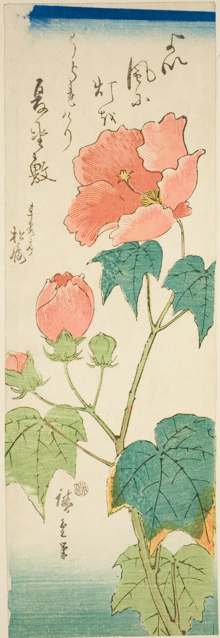 Ibišek od Utagawa Hiroshige