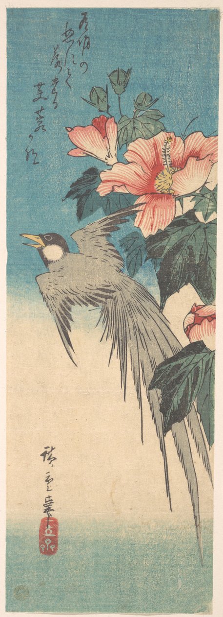 Hibiscus Mutabilis und Langschwanzvogel od Utagawa Hiroshige