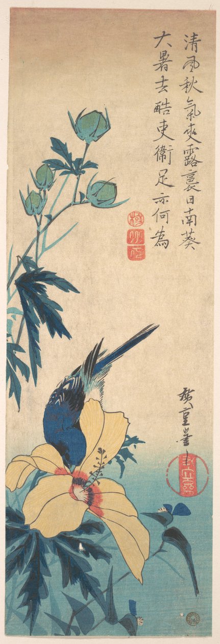 Ibišek a modrý pták od Utagawa Hiroshige