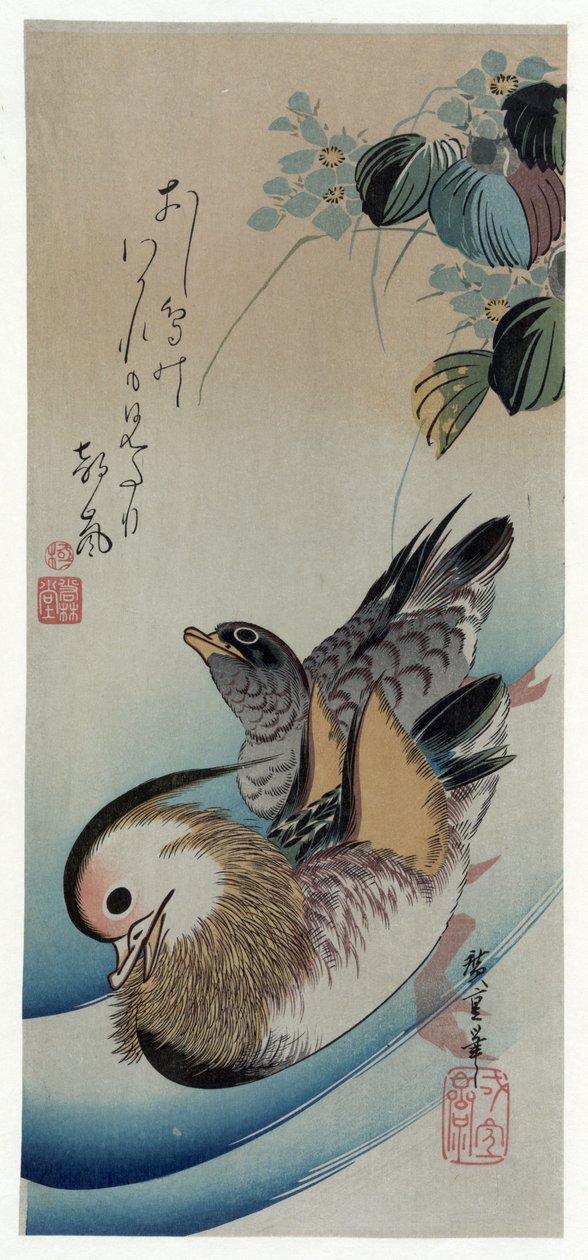 Hirošige (1838) Dvě mandarínské kachny od Utagawa Hiroshige