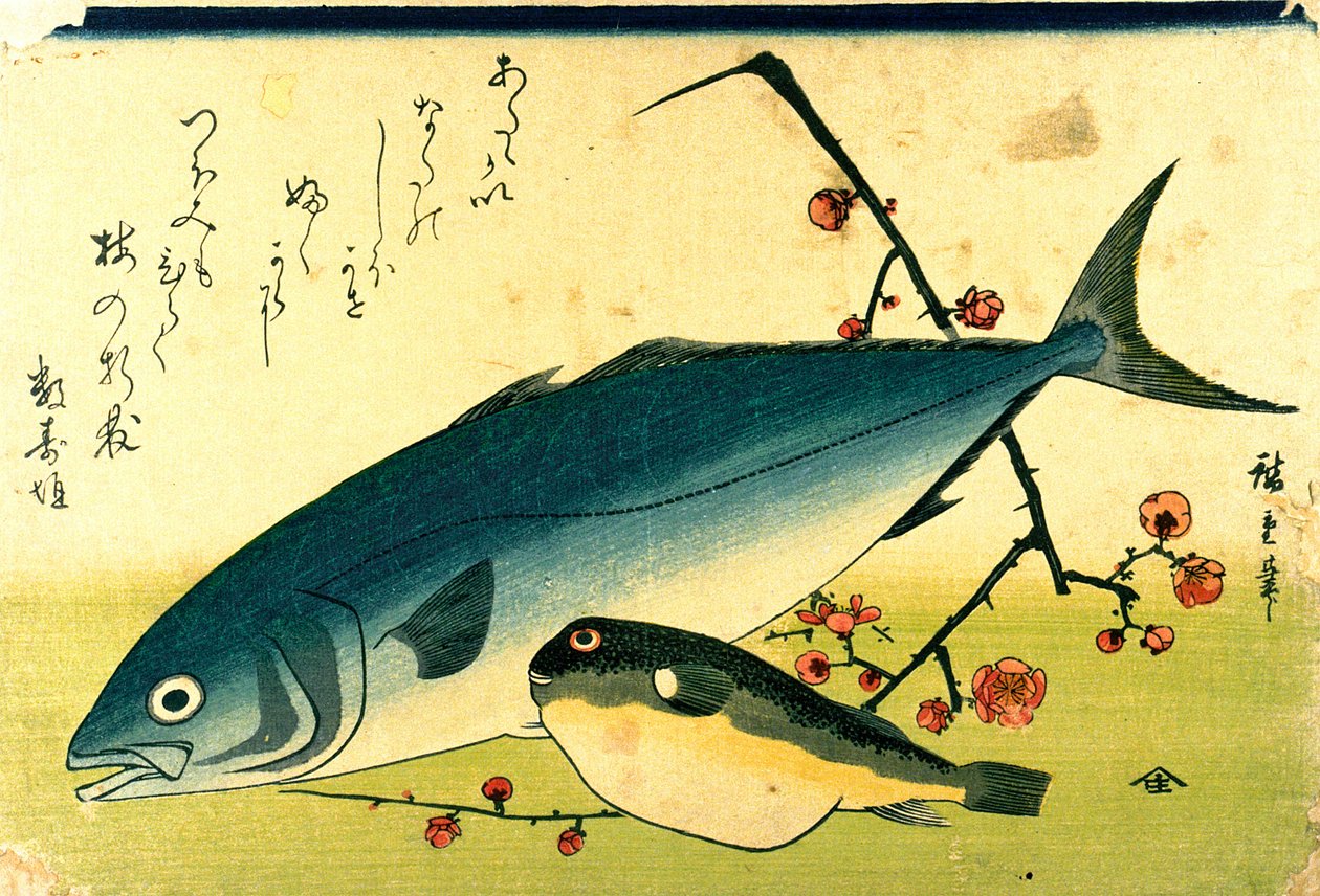 Hiroshige Hejno ryb Fugu žlutý ocas od Utagawa Hiroshige