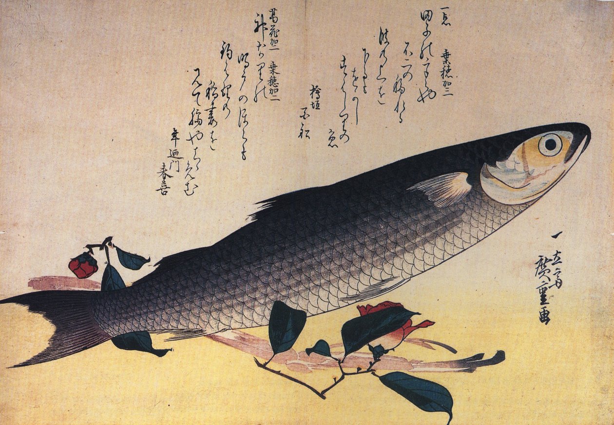 Hiroshige Šedý parmice a kamélie od Utagawa Hiroshige