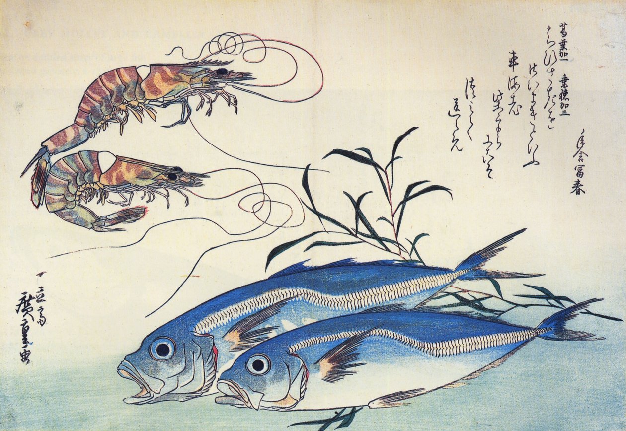 Hiroshige Makrela obecná a krevety od Utagawa Hiroshige