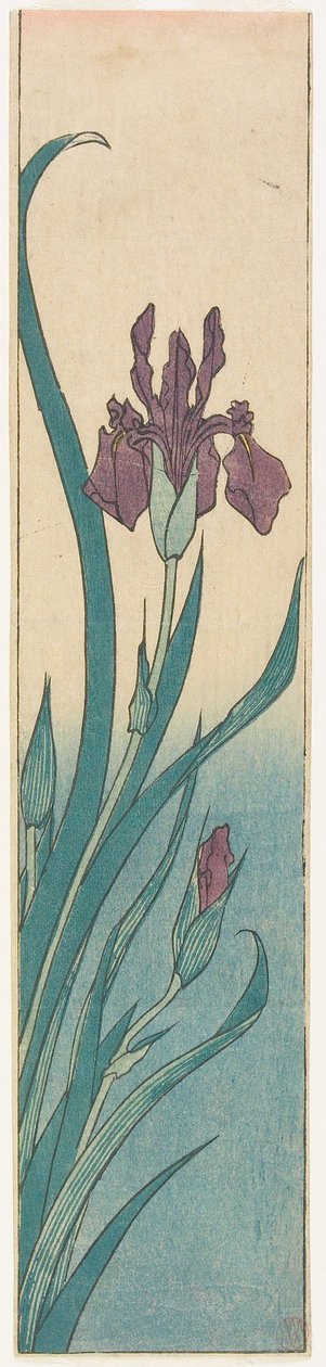 Iris od Utagawa Hiroshige