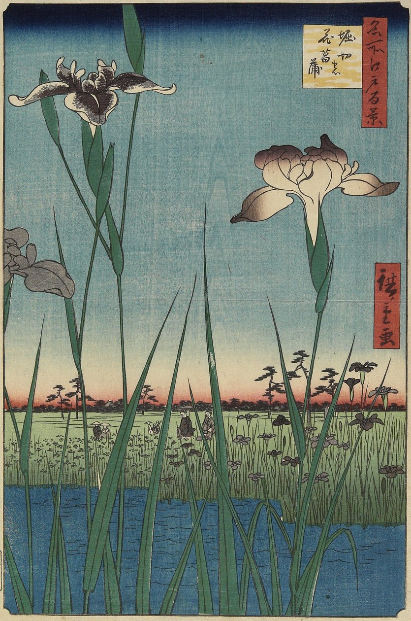 Iris Garden v Horikiri, květen 1857 od Utagawa Hiroshige