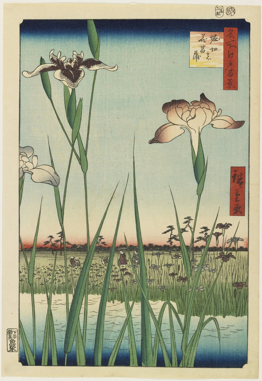 Iris Garden at Horikiri, May 1857 od Utagawa Hiroshige