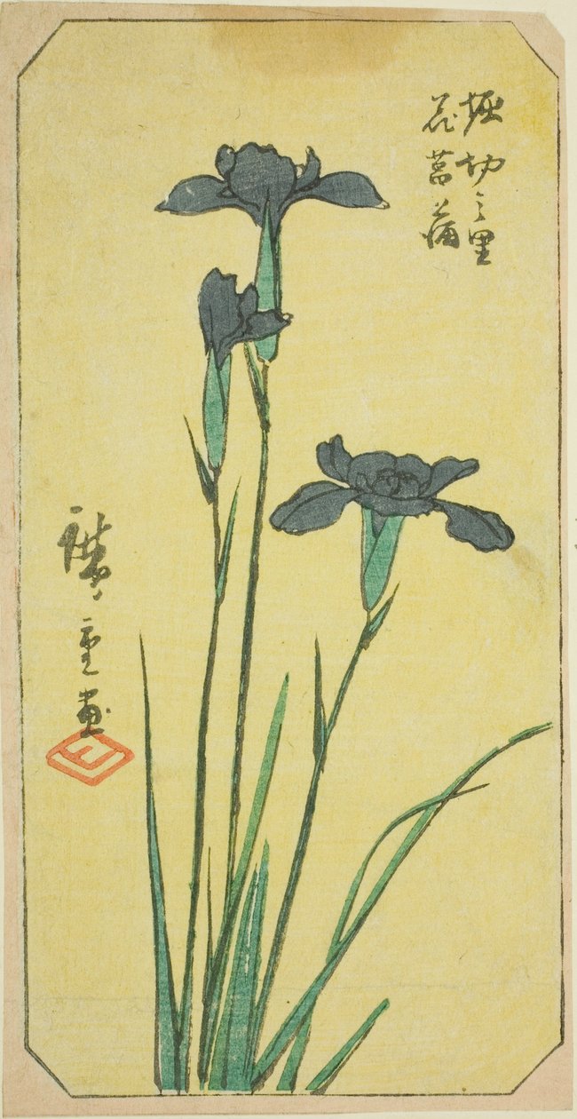 Představeno na Horikiri Viage (Horikiri no Sato Hanadokobu), teplo země, obrázek ze série, "boj, společníci dne a ostatní členové pas. Edo (Edo Famous Places Paste Mixture)" od Utagawa Hiroshige