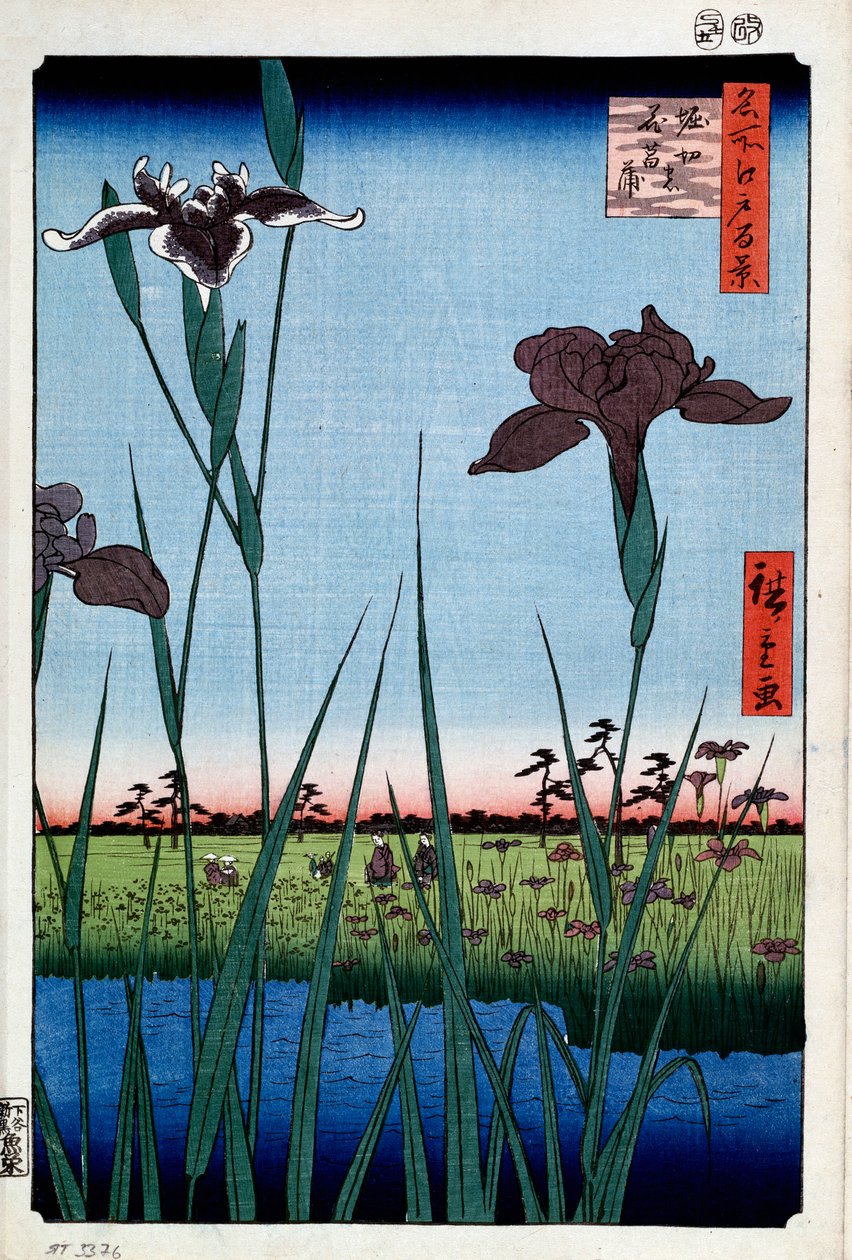 Kosatce v Horikiri Sto slavných pohledů na Edo, 1856-1858. od Utagawa Hiroshige
