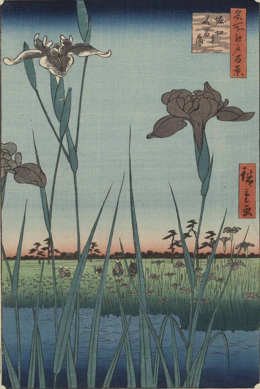 Kosatce z Horikiri, ze série „Sto slavných pohledů na Edo“ od Utagawa Hiroshige