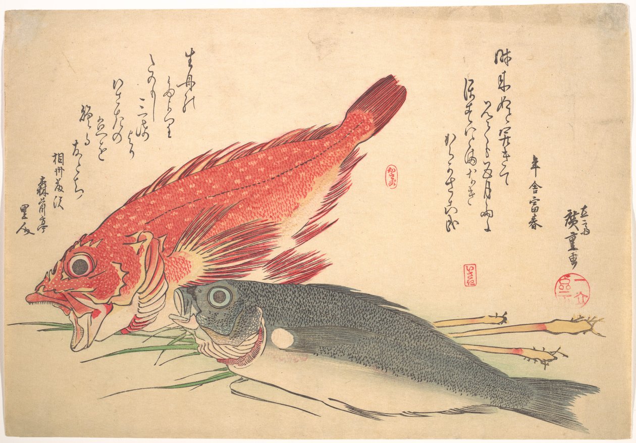 Ryby Isaki a Kasago, ze série Uozukushi (Všechny druhy ryb) od Utagawa Hiroshige