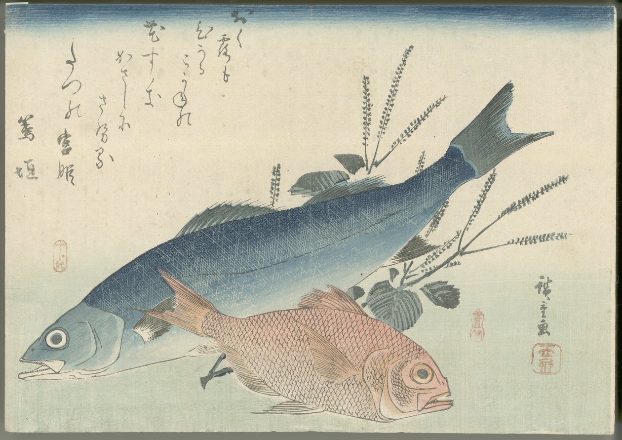 Mořský okoun japonský, mořský cejn zlatooký a rostlina šiso od Utagawa Hiroshige