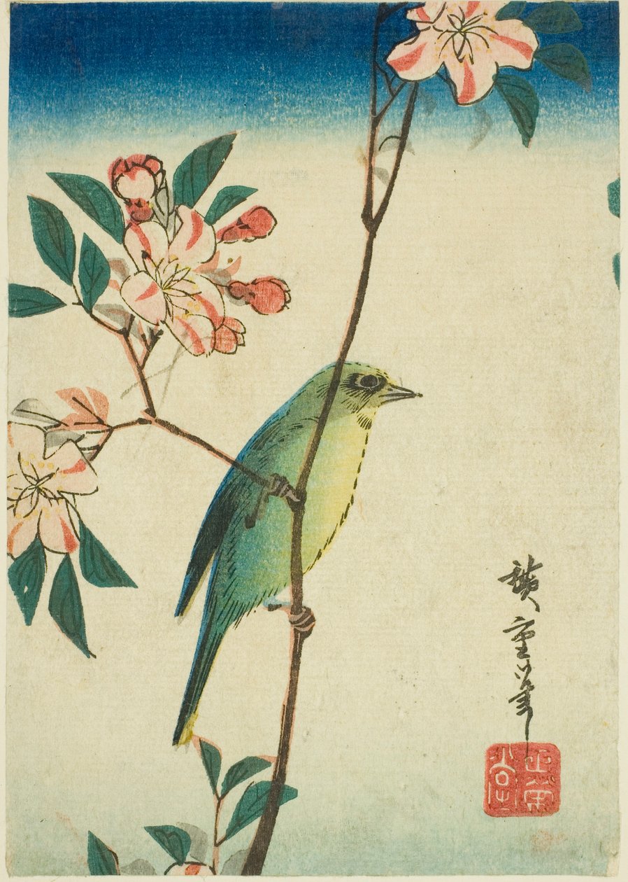 Japonský běloký na kvetoucí větvi od Utagawa Hiroshige