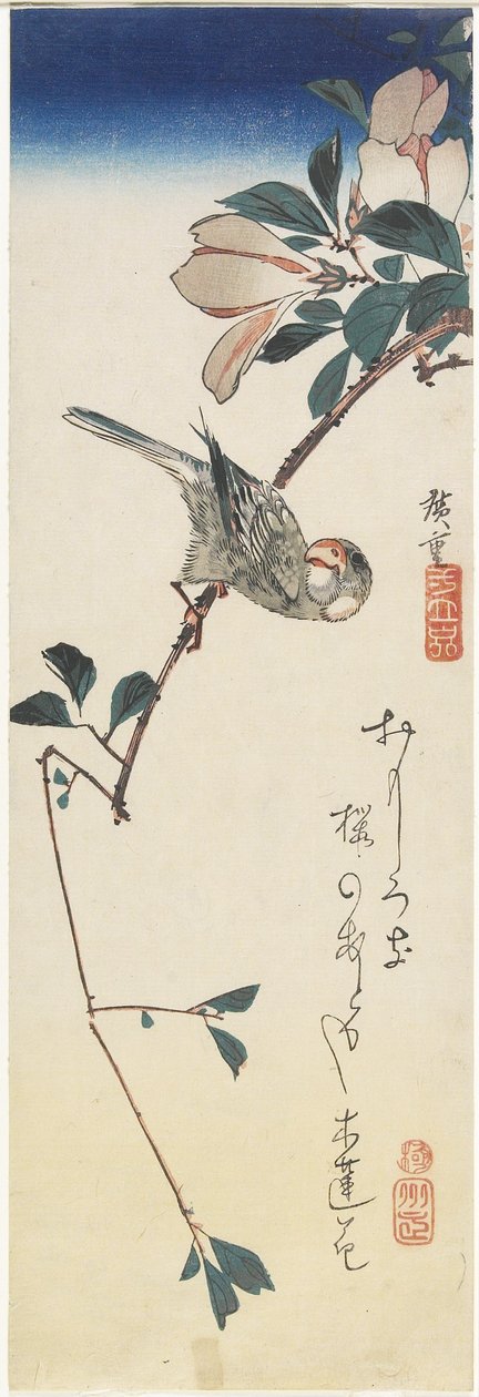 Jávský vrabec a magnólie, 1834-1839 od Utagawa Hiroshige