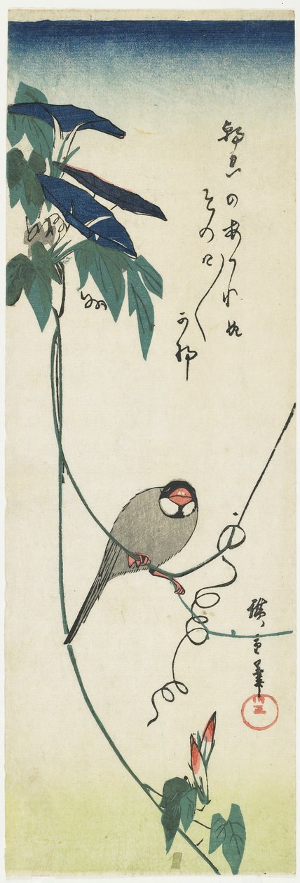 Java Sparrow and Morning Glories, 1834-1839 od Utagawa Hiroshige