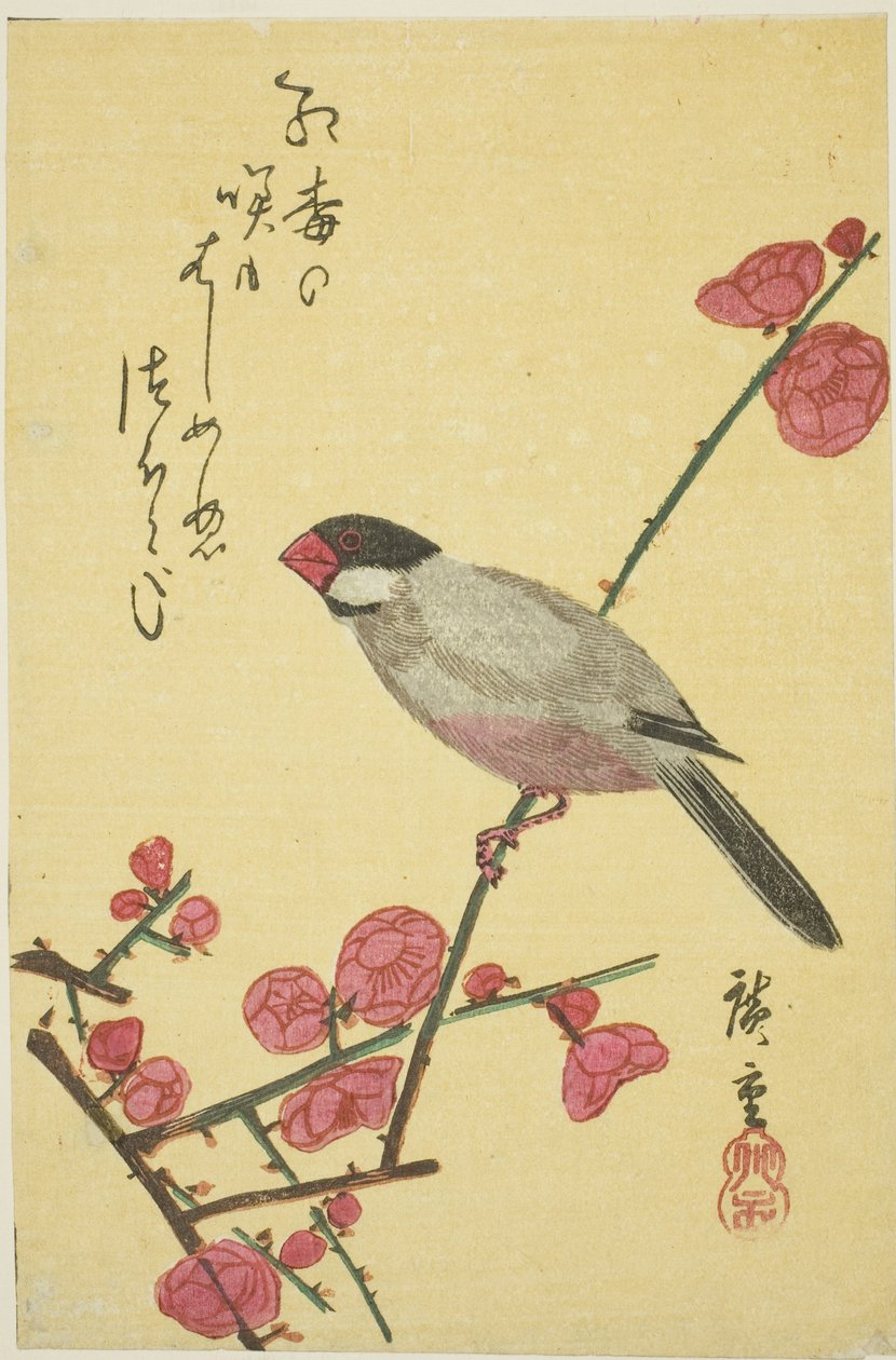 Jávský vrabec na švestkové větvi od Utagawa Hiroshige