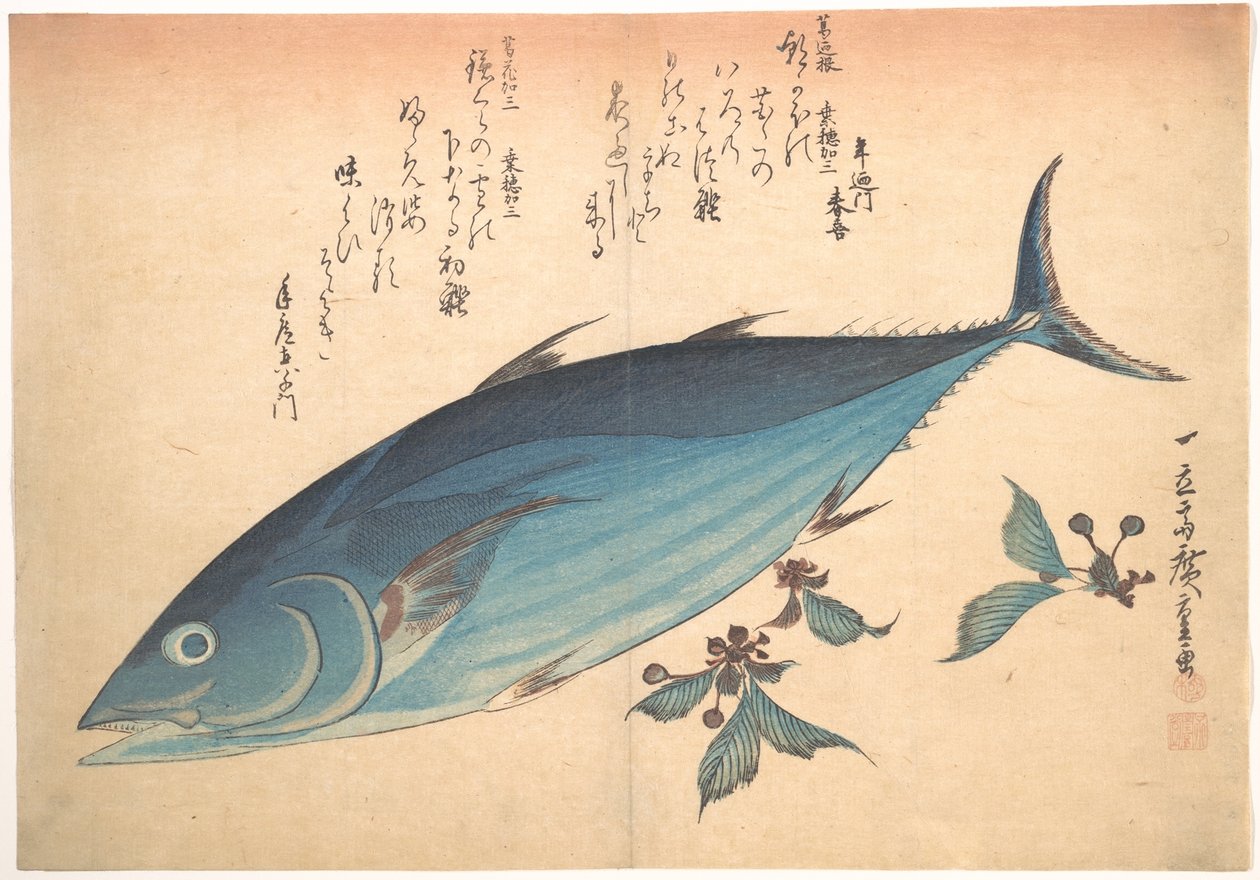 Ryba katsuo s třešňovými poupaty, ze série Uozukushi (Všechny druhy ryb) od Utagawa Hiroshige