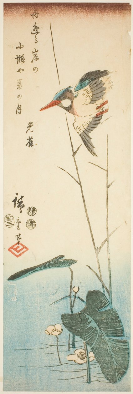 Ledňáček říční nad žlutokvětou vodní rostlinou od Utagawa Hiroshige