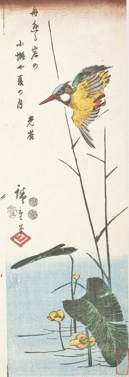 Ledňáček a rákosí od Utagawa Hiroshige
