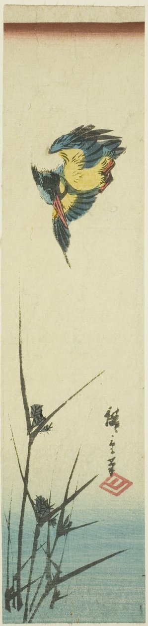 Ledňáček říční a rákosí od Utagawa Hiroshige