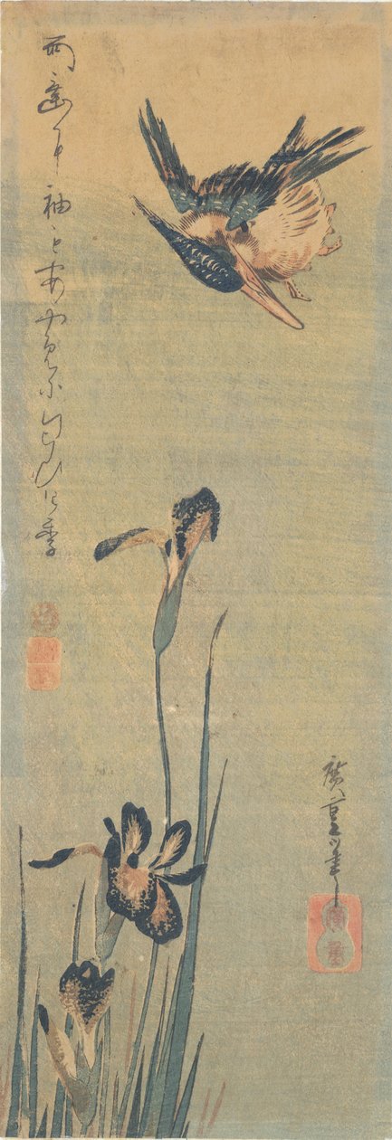 Ledňáček říční letící nad Iris od Utagawa Hiroshige