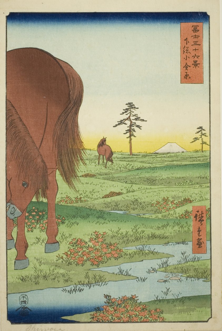 Dobrý člen Ogane P Gesasa P Rovinse (Shimosa Koganehara), ze série Te `` Mr. Tyrty x Pohledy na horu Fuji (Fuji Usaju Rokukatsu) 