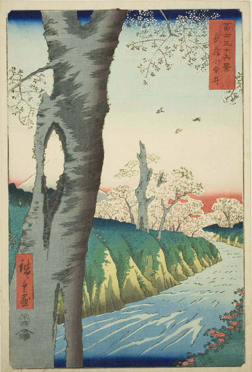 Koganei v provincii Musashi (Musashi Koganei), ze série „Třicet šest pohledů na horu Fuji (Fuji sanjurokkei)“ od Utagawa Hiroshige