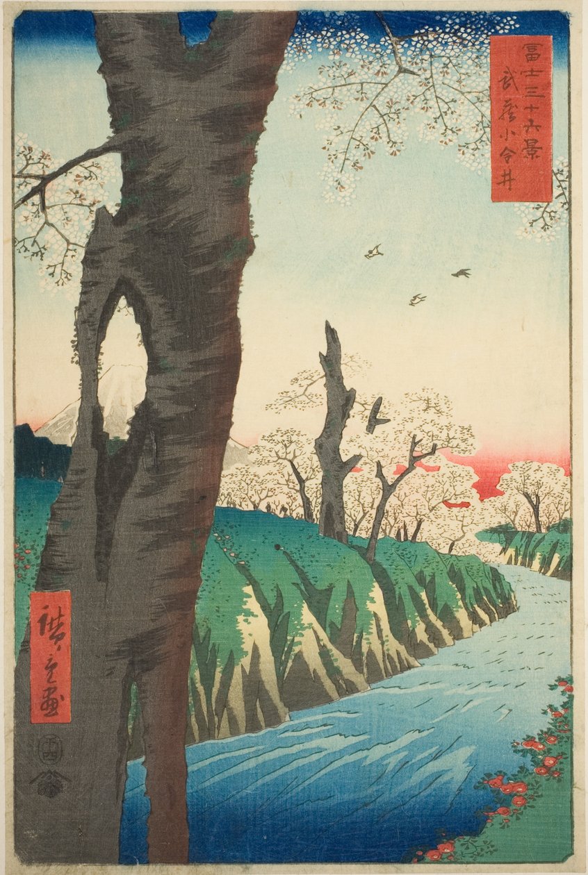 Koganei v provincii Musashi (Musashi Koganei), ze série „Třicet šest pohledů na horu Fuji (Fuji sanjurokkei)“ od Utagawa Hiroshige