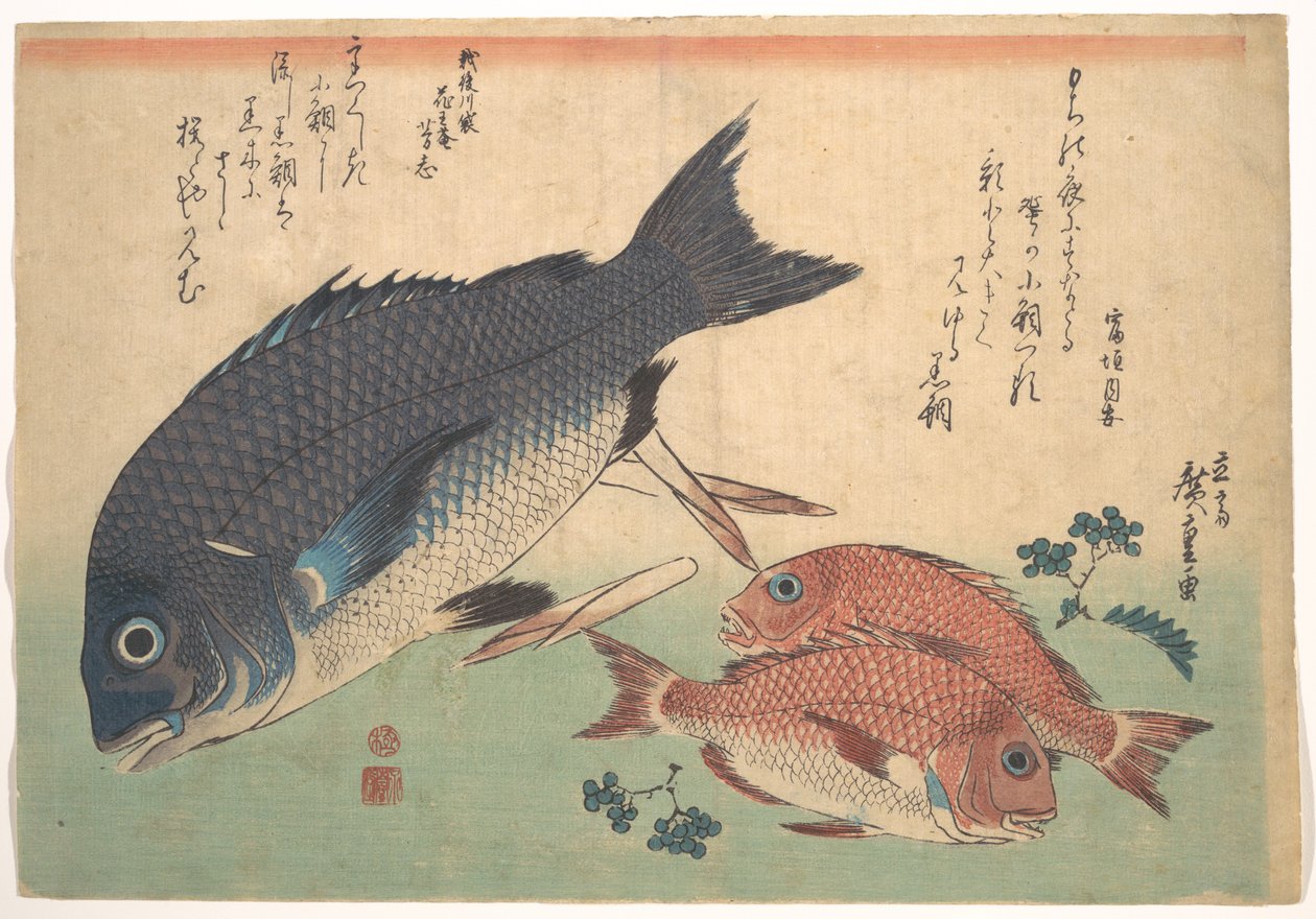 Ryby Kurodai a Kodai s bambusovými výhonky a lesními plody, ze série „Uozukushi“ (Všechny druhy ryb) od Utagawa Hiroshige