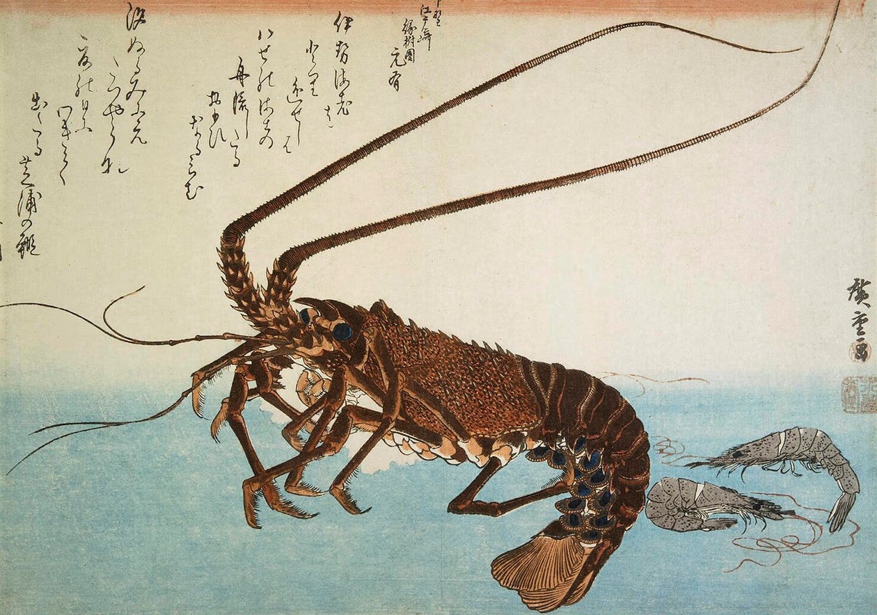 Humr a krevety, 1832-1834. od Utagawa Hiroshige