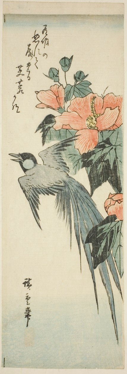 Dlouhoocasý pták a ibišek od Utagawa Hiroshige