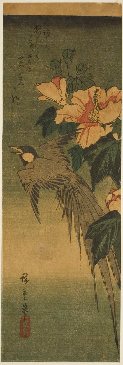 Dlouhoocasý pták a ibišek od Utagawa Hiroshige