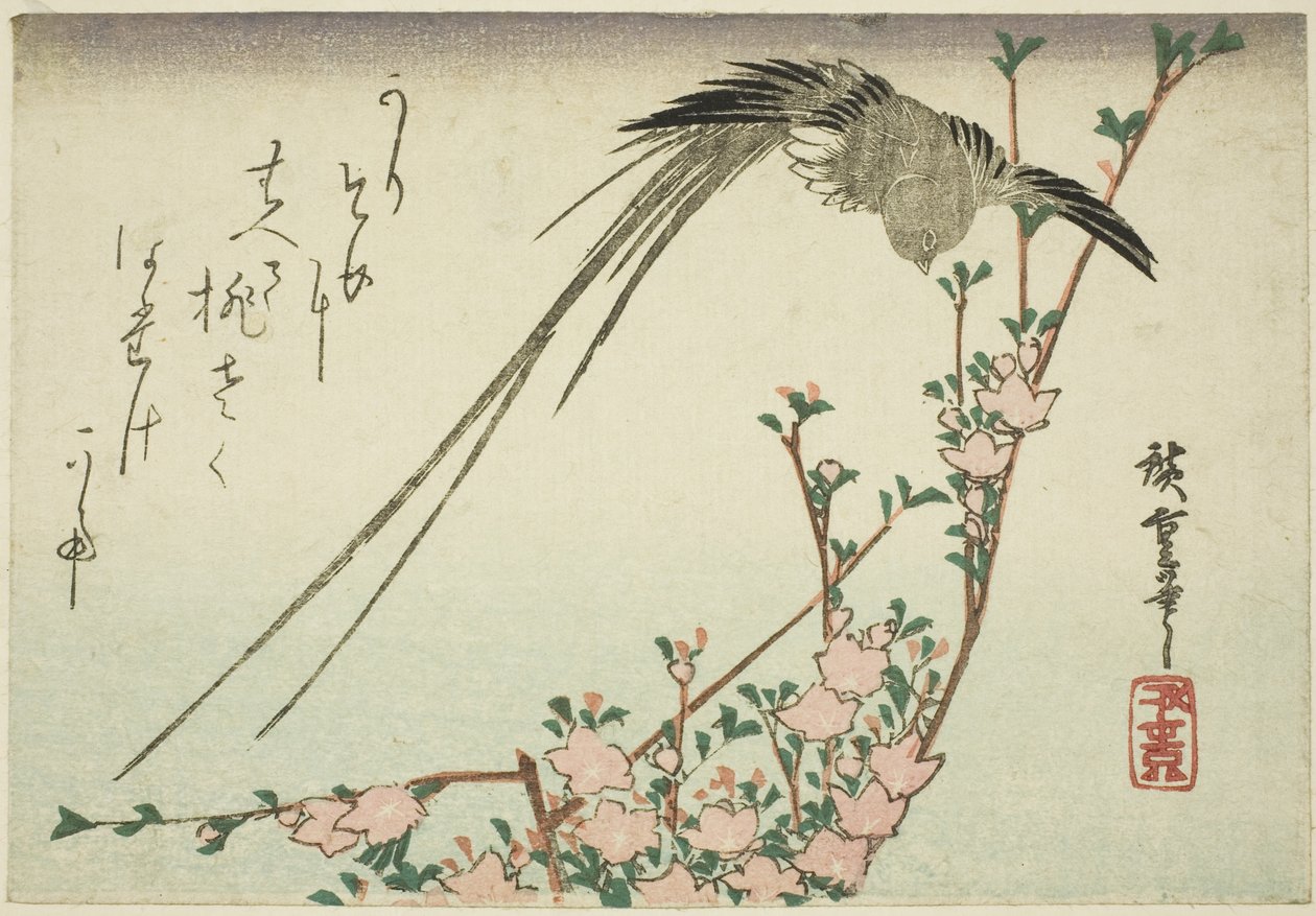 Dlouhoocasý pták a květy broskvoně od Utagawa Hiroshige