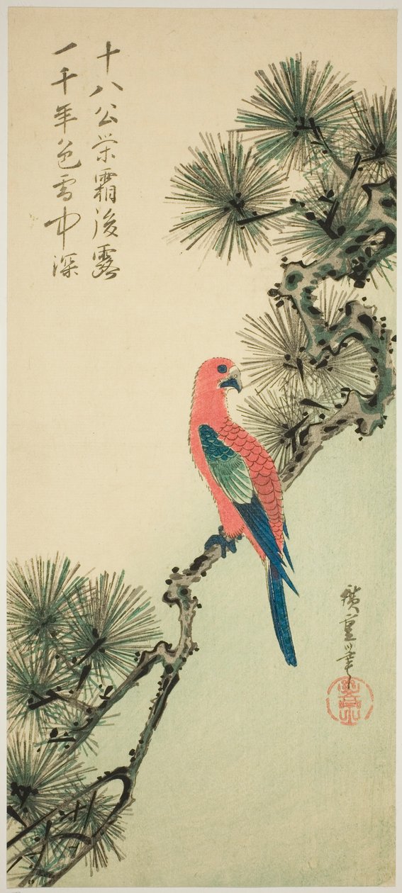 Ara na větvi borovice od Utagawa Hiroshige