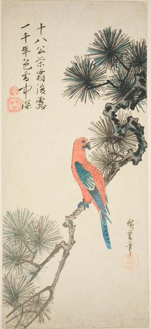 Ara na větvi borovice od Utagawa Hiroshige