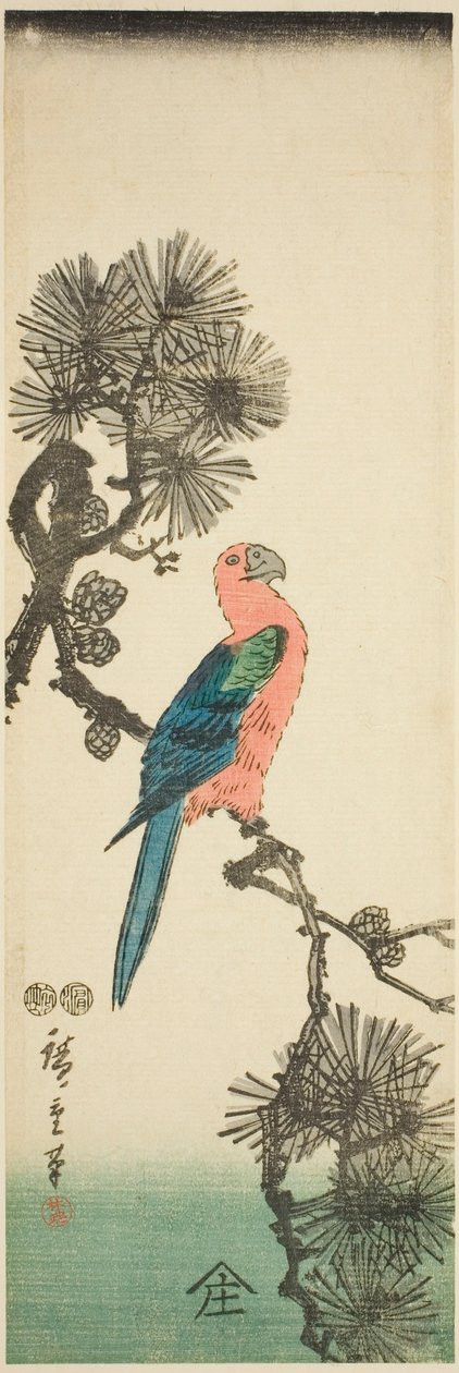 Ara na větvi borovice od Utagawa Hiroshige