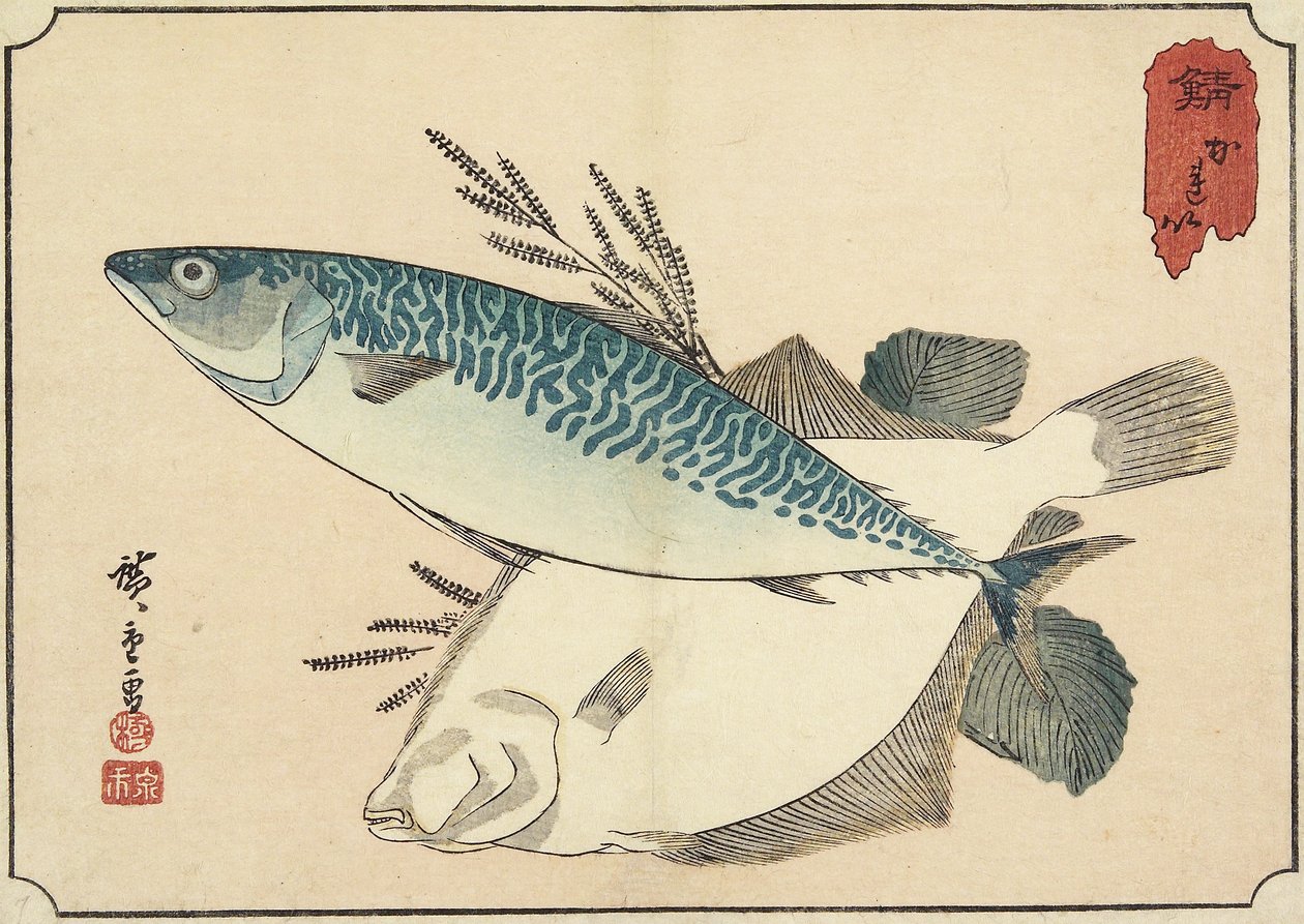 Makrela a halibut, počátek 19. století od Utagawa Hiroshige
