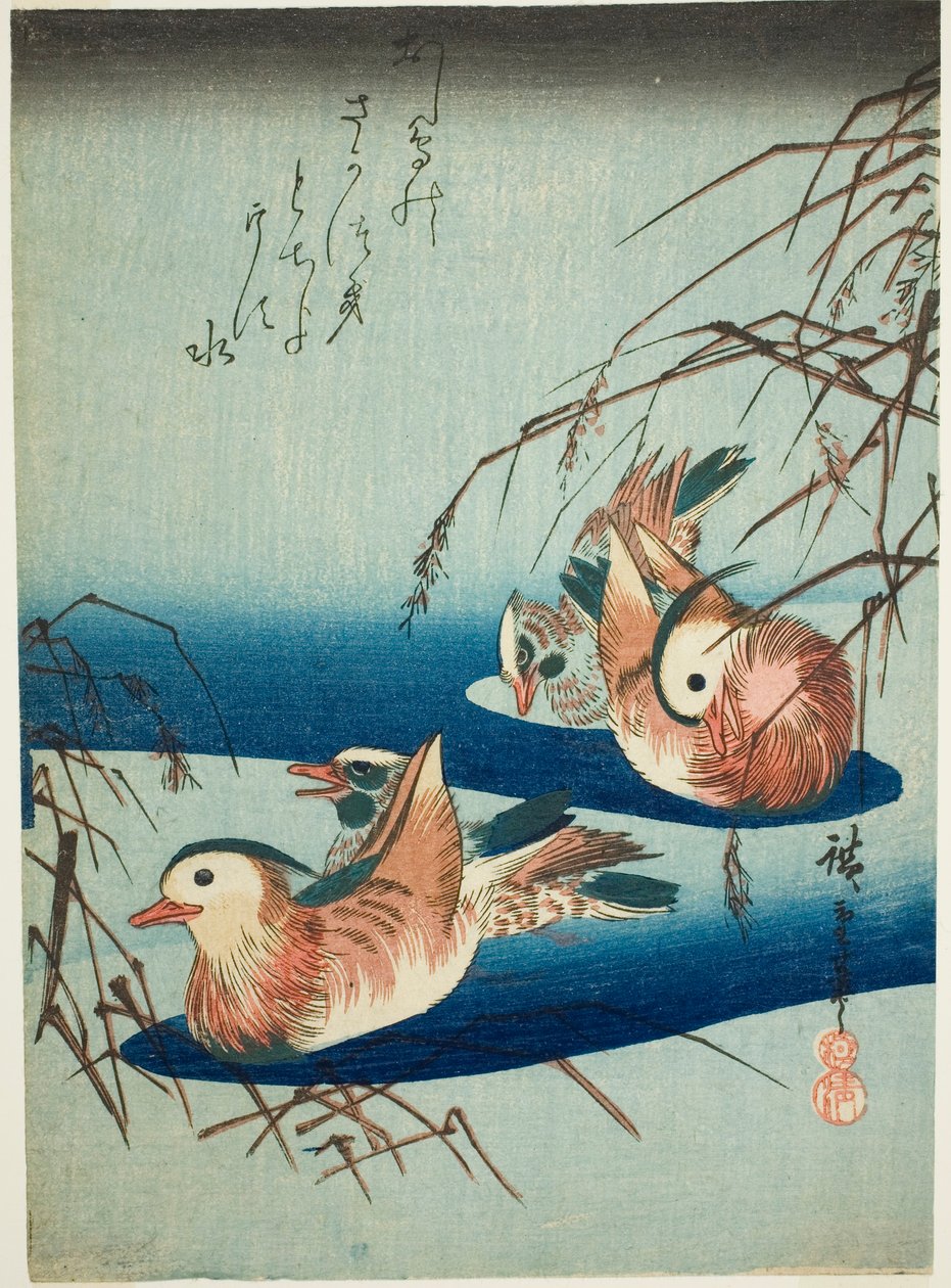 Mandarinské kachny od Utagawa Hiroshige